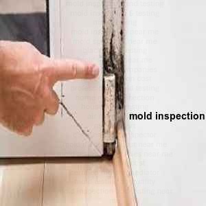 mold inspection Lago Vista