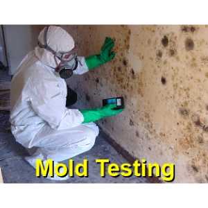 mold testing Grand Prairie