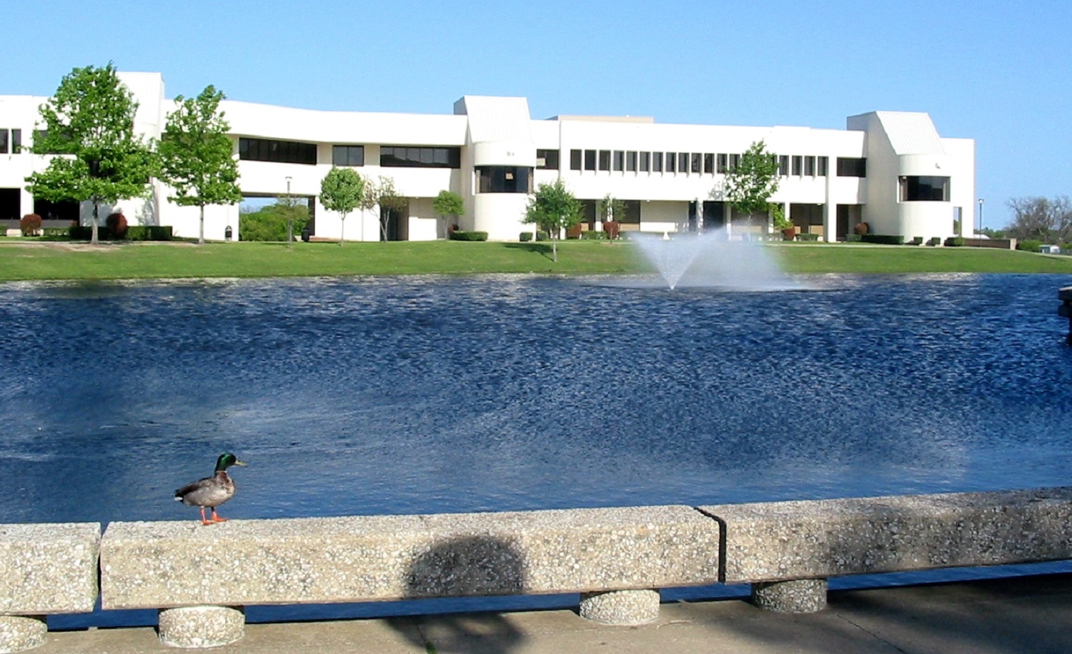 Plano East Plano,Texas <br><img src=