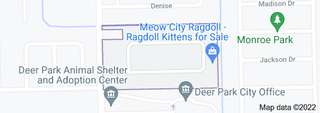 Delo - Elaine Deer Park,Texas <br><h3><a href=