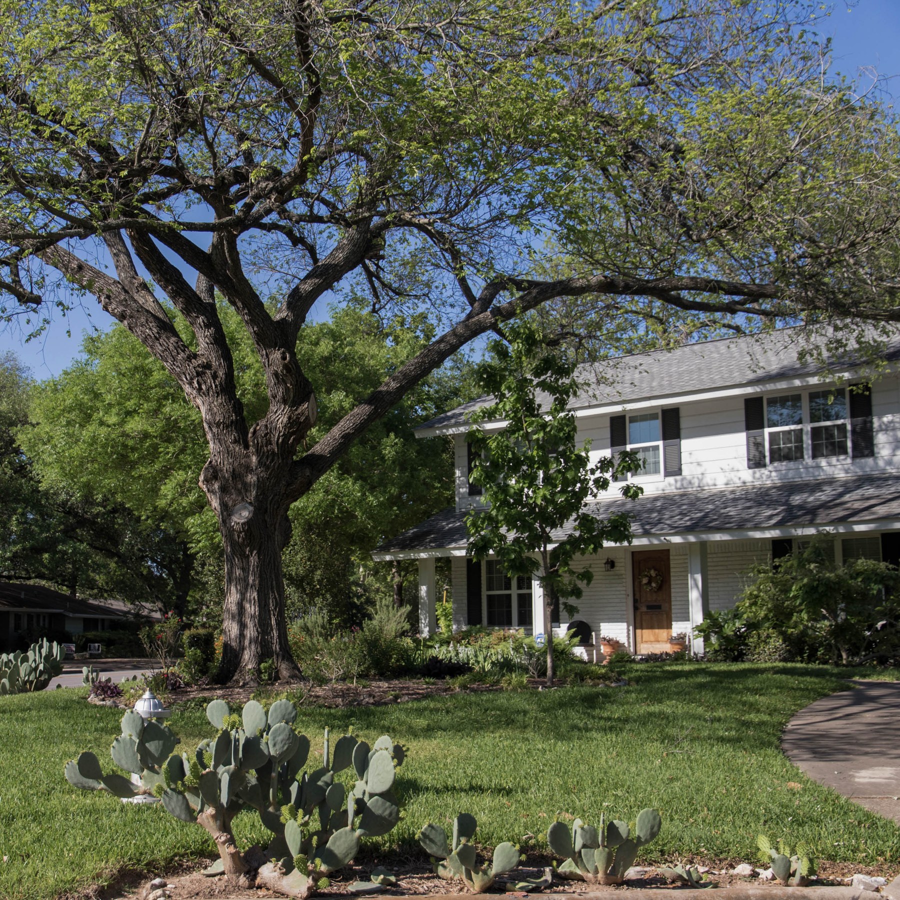 Allandale Austin,Texas <br><img src=