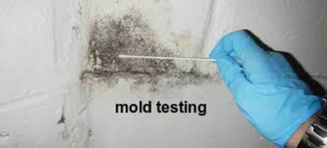 Mold Testing Services